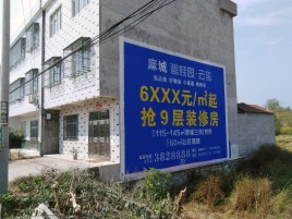 太康墙体广告质量分析