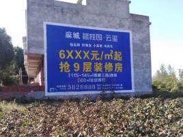 太康品牌公司青睐的墙体广告