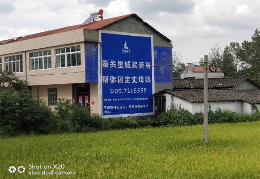 太康决定墙体广告价格的因素有哪些?