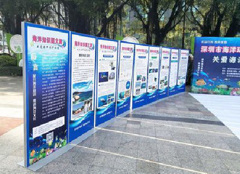 太康KT板的种类和知识。